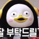 콘서트노래방 이미지