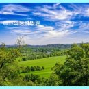 라인의정석의원 네이버블로그