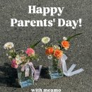 메아모 | 전포꽃집 메아모 어버이날 카네이션 화병꽂이 추천