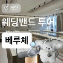 청담 웨딩밴드 투어 '베루체' 상담 후기 ⎹ 디자인·가격·지인할인·견적 공유