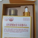 황토꿀벌농장 | 황토벌꿀농장 프로폴리스원액으로 부모님건강 챙기기