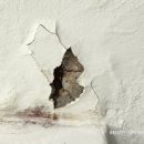 세종지물 이미지