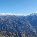 타슈켄트 이미지