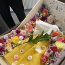 몽몽이엠파크 이미지