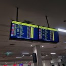 929 | 워홀] 호주 케언즈 공항 젯스타 국내선 탑승 후기 (JQ929, 좌석, 체크인, 기내수하물, 위탁수하물...