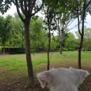 율하체육공원 공중화장실 이미지