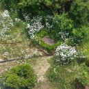 인삼랜드 휴게소(하) 이미지