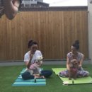 도그동물농장 이미지