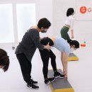 스텝교육