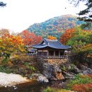 경북 예천 여행정보
