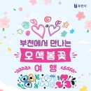 부천꽃