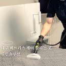 대명자이그랜드시티 대구 매트리스 청소 클린솔루션 케어 후기