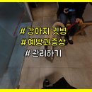 송정동물의료센터 이미지