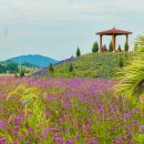 동굴가든 이미지