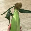 더초당