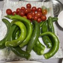 횟집서우담 | 진도 횟집 서우담 식객 허영만이 극찬한 자연산 회정식 맛집(+가성비최고)