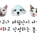 55도 와인포차
