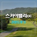 스카이밸리골프장 | 스카이밸리cc 스카이-밸리코스 라운드후기