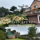 늘푸른 호숫가 펜션 이미지