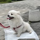 남부수자원생태공원 이미지