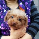 함박봉로 이미지