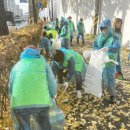 매탄1동행정복지센터 이미지