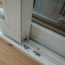 낙천대2 이미지