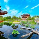 번암리 조천연꽃공원1 이미지