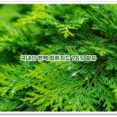 타이어샵세차장 이미지