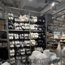 도쿄 신주쿠 쇼핑, 스탠다드 프로덕트 방문 후기 / 다이소 프리미엄 잡화점