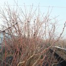 서리내농장 이미지