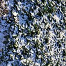 다우리농장 이미지