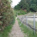 주문진터미널 이미지