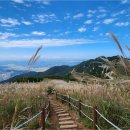 64호매표소 | 2025 화왕산 억새 절정시기, 창녕 등산코스·주차·후기 총정리