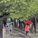 소나기 이미지