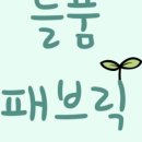 늘품아이