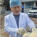 진도개메디컬센터 이미지