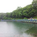 초원 낚시 & 캠핑