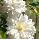 창일농장 이미지