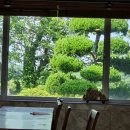 폴개네제주드림캠프 이미지