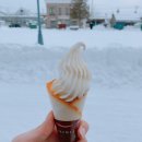 눈보라헤어샵 | 홋카이도, 흰그림자 비에이 일일버스투어, 비에이역 (+지구마불 세계여행2)