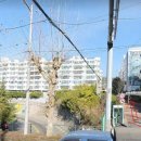 동일파크맨션2 이미지