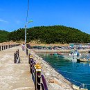 천리포항 이미지