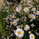 둔덕동주민자치센터 이미지