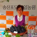 하하호호농원