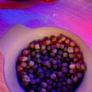 죠스실내낚시카페 이미지