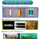 일등환경