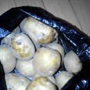 여명유치원 이미지