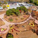 태안군, 2025 태안 국화축제 화려한 폐막(김면수의 정치토크) 이미지