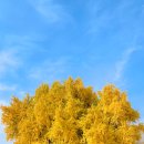 반계초등학교 병설유치원 이미지